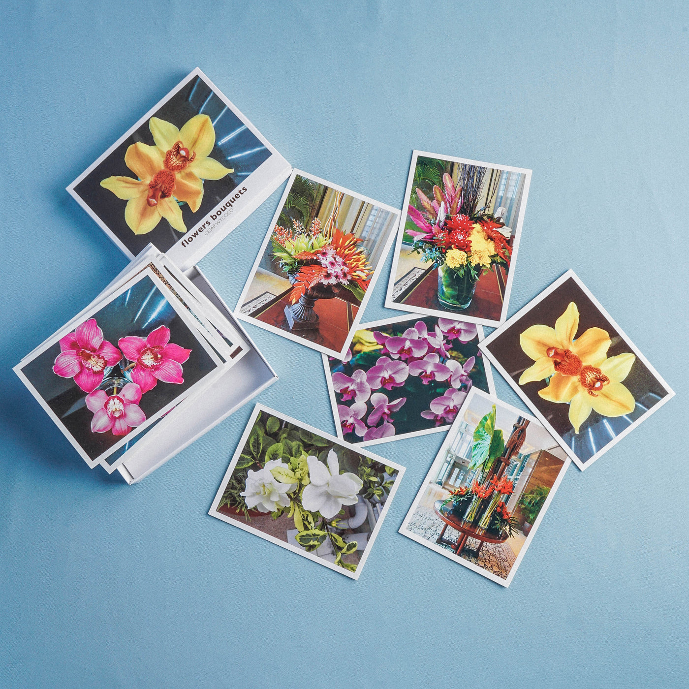 Philippine Cards