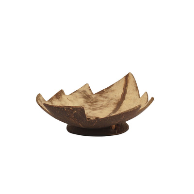 Coconut Soap Dish Leaf - TESOROS