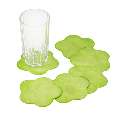 Capiz Flower Coaster - Set of 6 - TESOROS